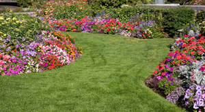 Green Valley Landscapes Lawn Care, Green Valley Landscaping Pa